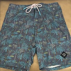 American Eagle Outfitters Tropical Palm Swim Shorts